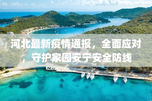 河北最新疫情通报，全面应对，守护家园安宁安全防线