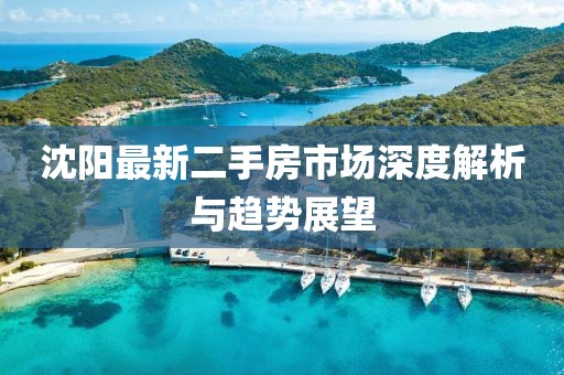 沈阳最新二手房市场深度解析与趋势展望