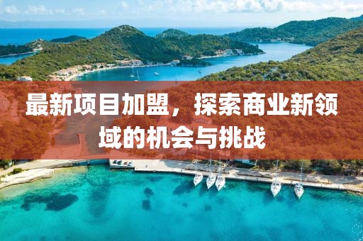 最新项目加盟，探索商业新领域的机会与挑战