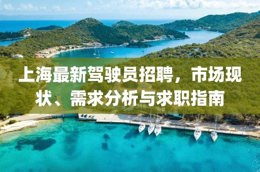 上海最新驾驶员招聘，市场现状、需求分析与求职指南