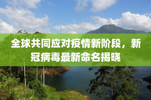 全球共同应对疫情新阶段，新冠病毒最新命名揭晓