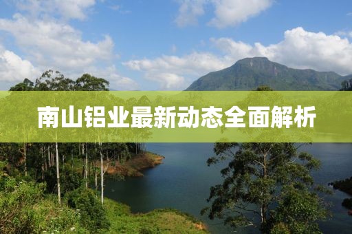 南山铝业最新动态全面解析