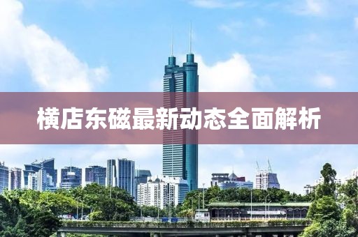 横店东磁最新动态全面解析