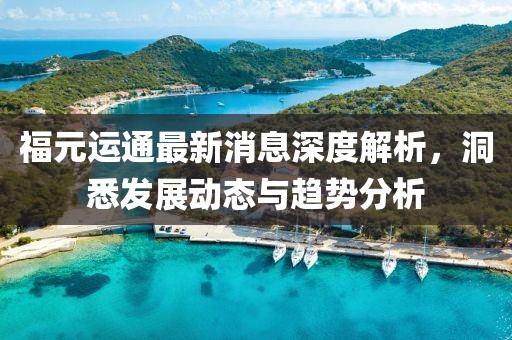 福元运通最新消息深度解析，洞悉发展动态与趋势分析