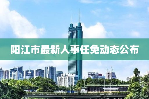 阳江市最新人事任免动态公布