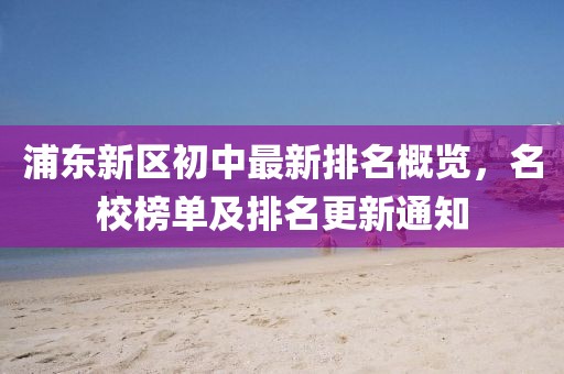 浦东新区初中最新排名概览，名校榜单及排名更新通知