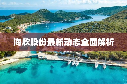 海欣股份最新动态全面解析