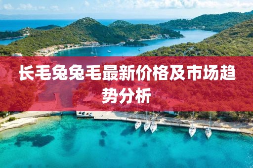 长毛兔兔毛最新价格及市场趋势分析