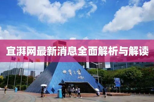 宜湃网最新消息全面解析与解读