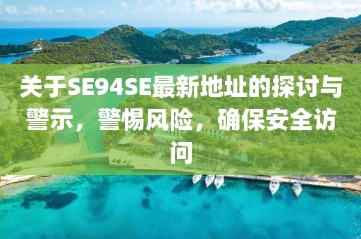 关于SE94SE最新地址的探讨与警示，警惕风险，确保安全访问