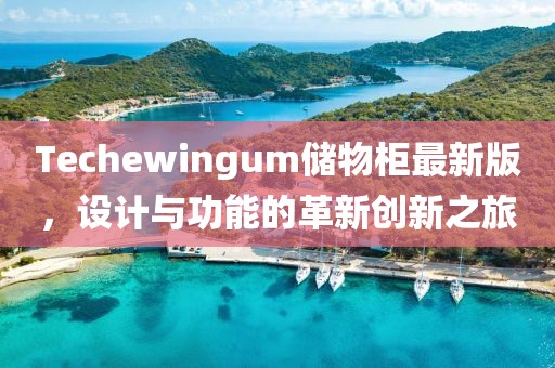 Techewingum储物柜最新版，设计与功能的革新创新之旅