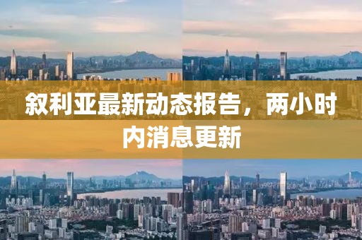 叙利亚最新动态报告，两小时内消息更新