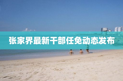 张家界最新干部任免动态发布