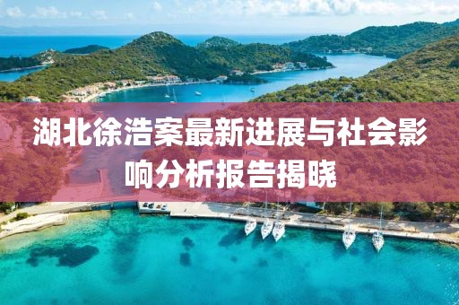 湖北徐浩案最新进展与社会影响分析报告揭晓