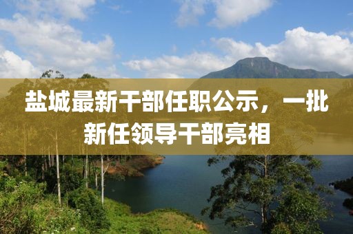 盐城最新干部任职公示，一批新任领导干部亮相