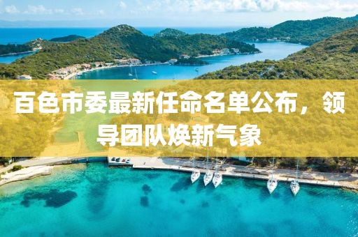 百色市委最新任命名单公布，领导团队焕新气象