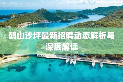 鹤山沙坪最新招聘动态解析与深度解读