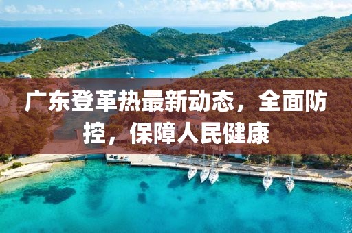 广东登革热最新动态，全面防控，保障人民健康