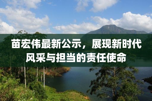 苗宏伟最新公示，展现新时代风采与担当的责任使命