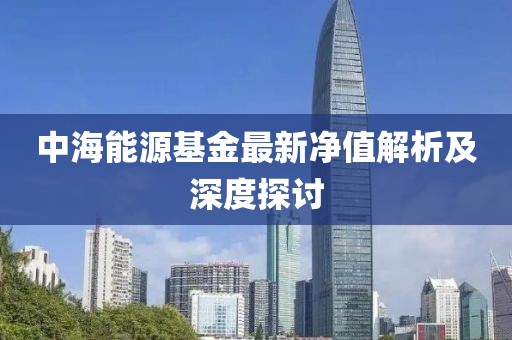 中海能源基金最新净值解析及深度探讨