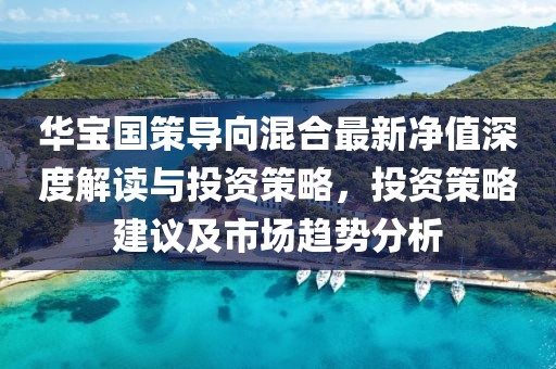 华宝国策导向混合最新净值深度解读与投资策略，投资策略建议及市场趋势分析