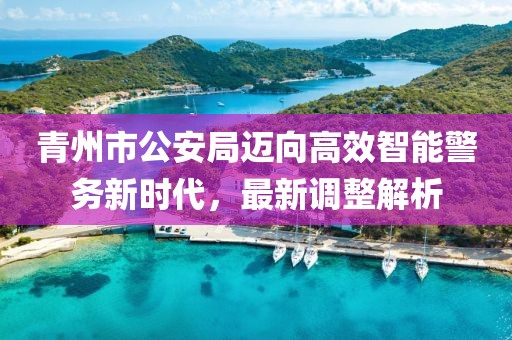 青州市公安局迈向高效智能警务新时代，最新调整解析