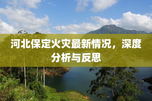 河北保定火灾最新情况，深度分析与反思