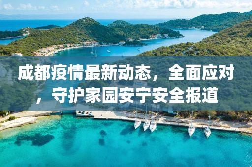 成都疫情最新动态，全面应对，守护家园安宁安全报道