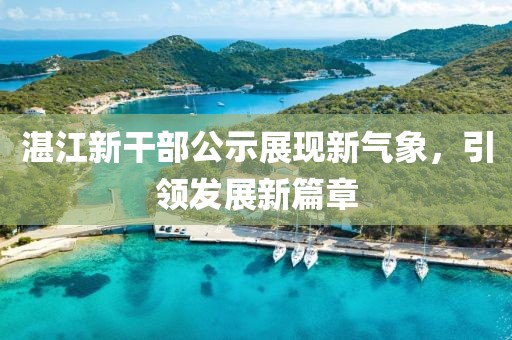 湛江新干部公示展现新气象，引领发展新篇章