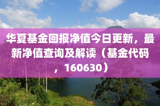 华夏基金回报净值今日更新，最新净值查询及解读（基金代码，160630）