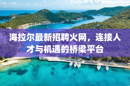 海拉尔最新招聘火网，连接人才与机遇的桥梁平台