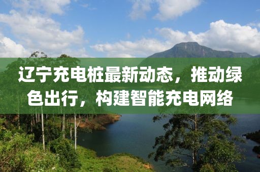 辽宁充电桩最新动态，推动绿色出行，构建智能充电网络