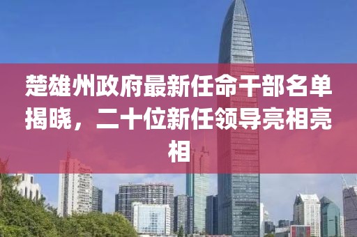 楚雄州政府最新任命干部名单揭晓，二十位新任领导亮相亮相