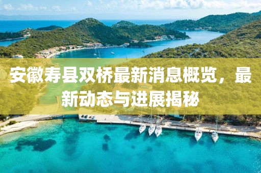 安徽寿县双桥最新消息概览，最新动态与进展揭秘