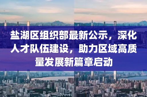 盐湖区组织部最新公示，深化人才队伍建设，助力区域高质量发展新篇章启动