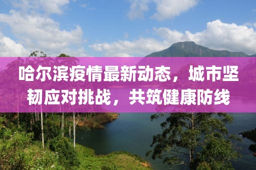 哈尔滨疫情最新动态，城市坚韧应对挑战，共筑健康防线