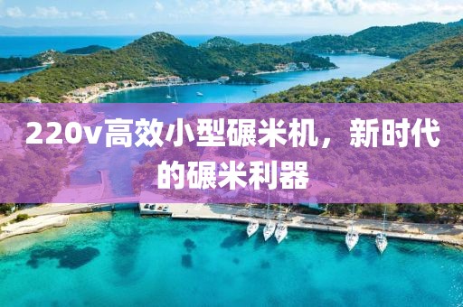 220v高效小型碾米机，新时代的碾米利器