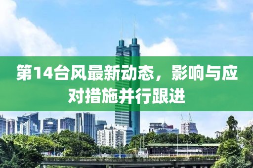 第14台风最新动态，影响与应对措施并行跟进