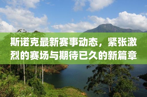 斯诺克最新赛事动态，紧张激烈的赛场与期待已久的新篇章