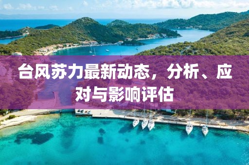 台风苏力最新动态，分析、应对与影响评估