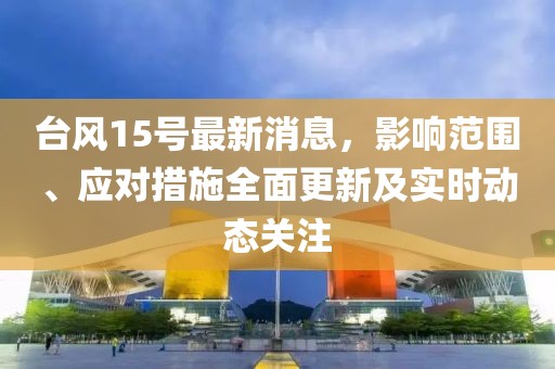 台风15号最新消息，影响范围、应对措施全面更新及实时动态关注