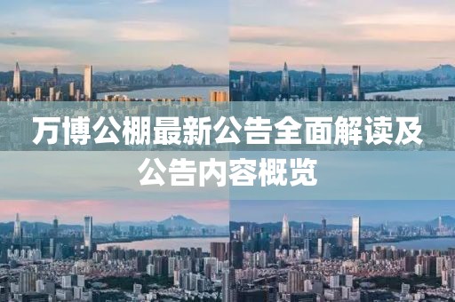 万博公棚最新公告全面解读及公告内容概览