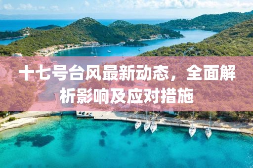 十七号台风最新动态，全面解析影响及应对措施