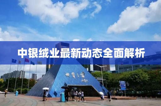 中银绒业最新动态全面解析