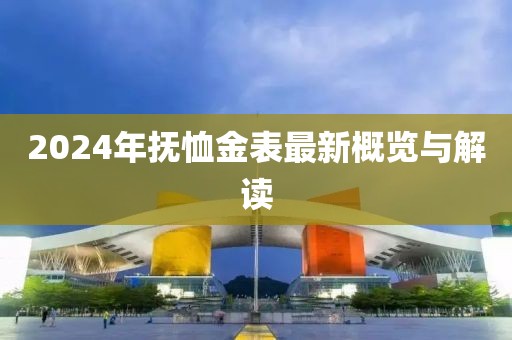 2024年抚恤金表最新概览与解读