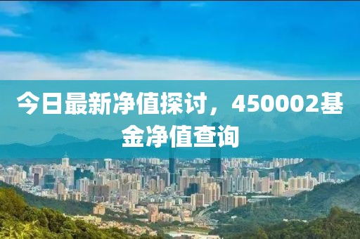 今日最新净值探讨，450002基金净值查询