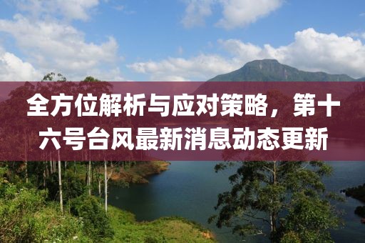 全方位解析与应对策略，第十六号台风最新消息动态更新