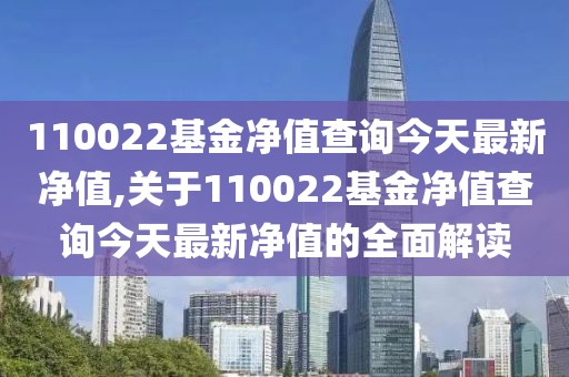 110022基金净值查询今天最新净值,关于110022基金净值查询今天最新净值的全面解读