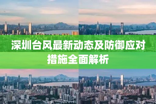 深圳台风最新动态及防御应对措施全面解析