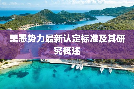 黑恶势力最新认定标准及其研究概述